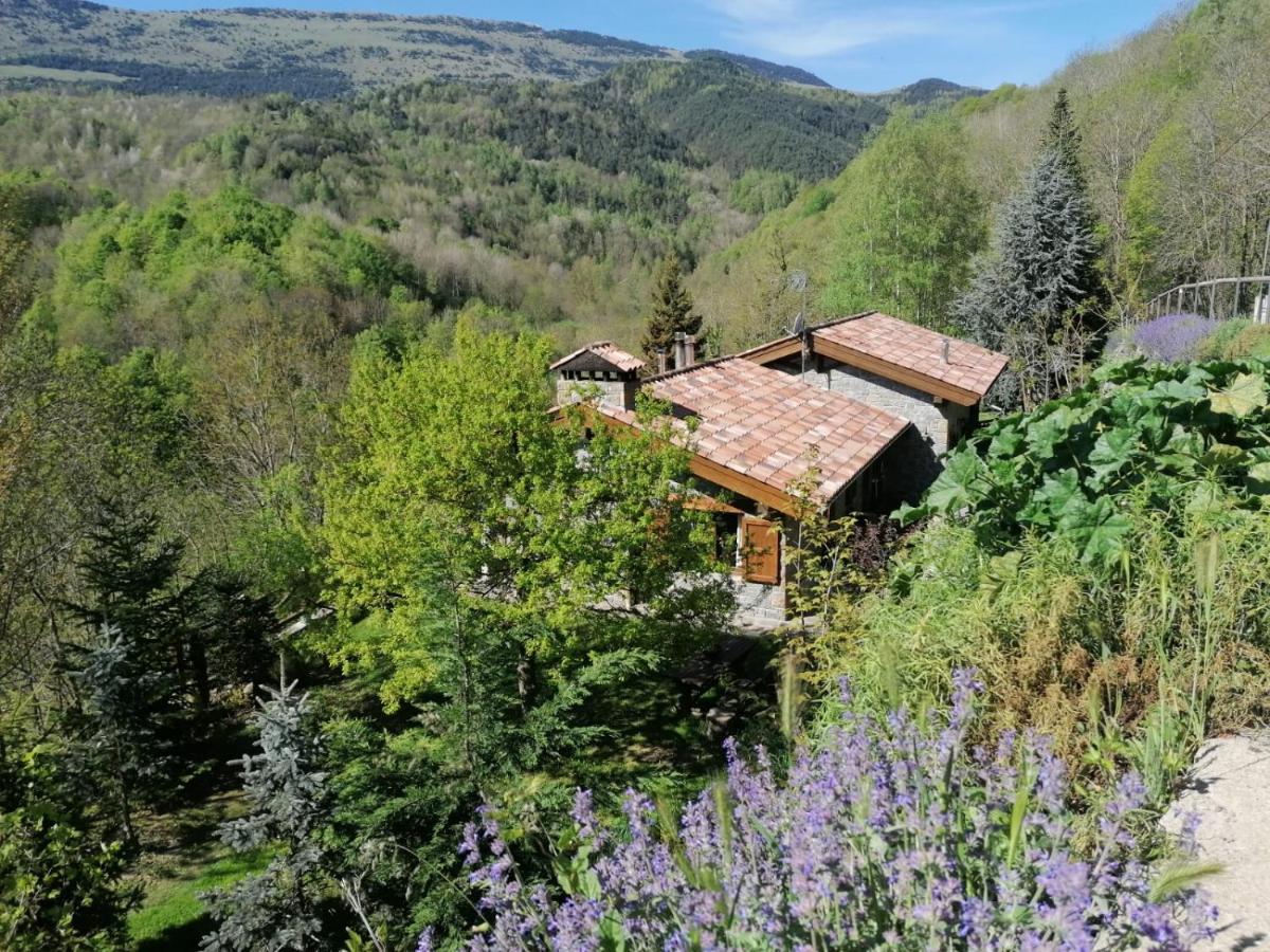 Villa Les Pedres à Camprodon Extérieur photo