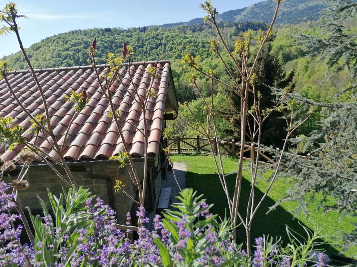 Villa Les Pedres à Camprodon Extérieur photo