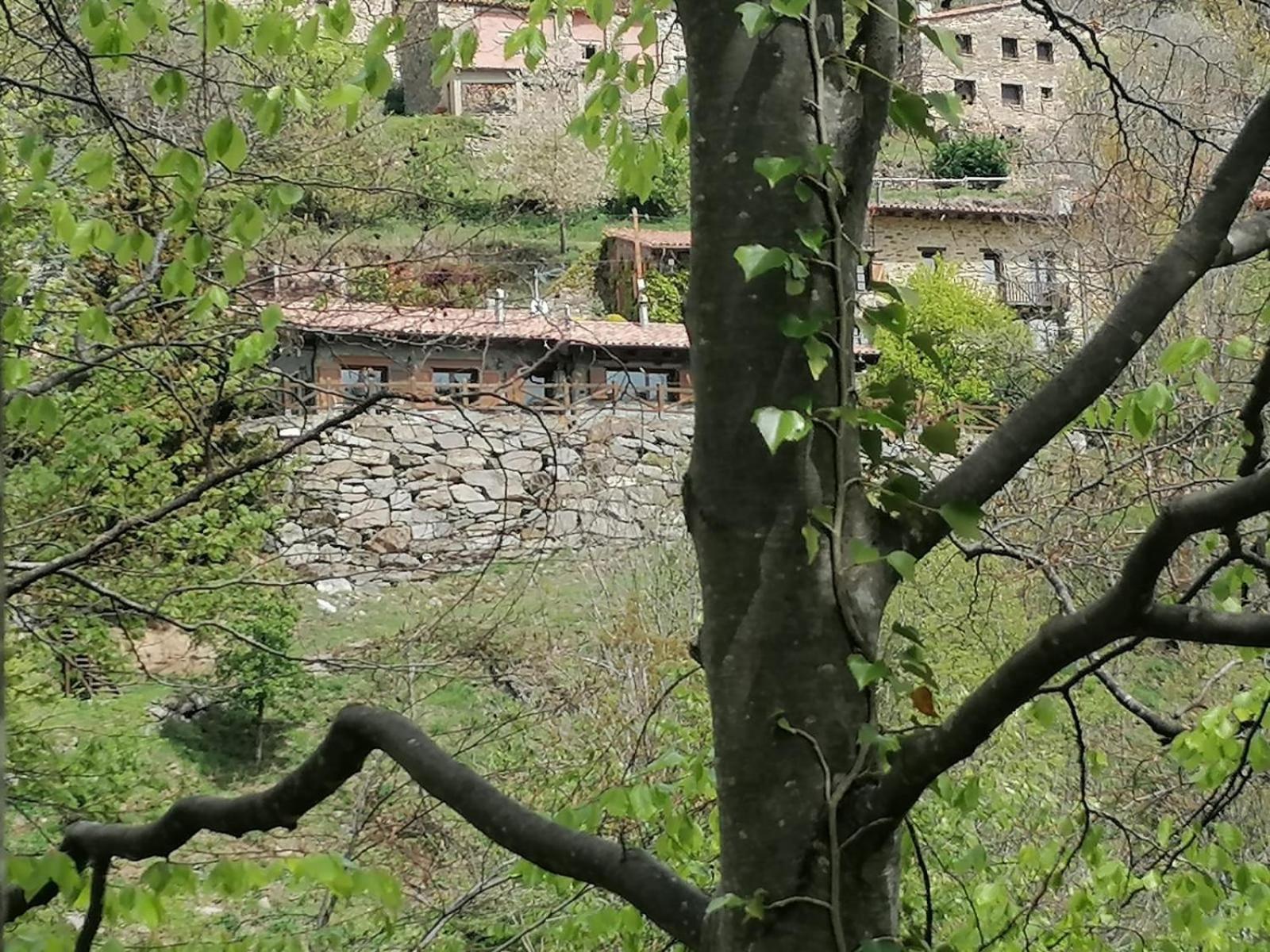 Villa Les Pedres à Camprodon Extérieur photo