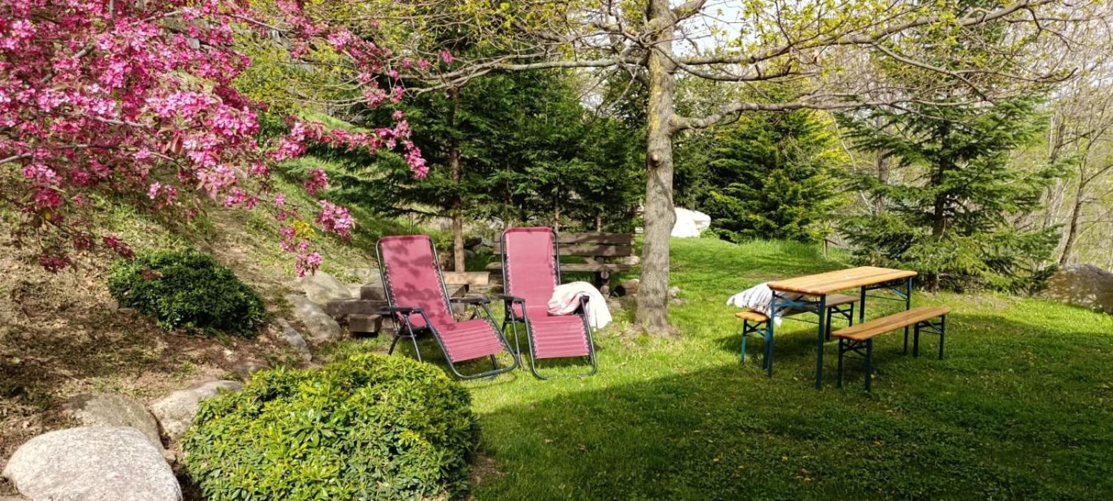 Villa Les Pedres à Camprodon Extérieur photo