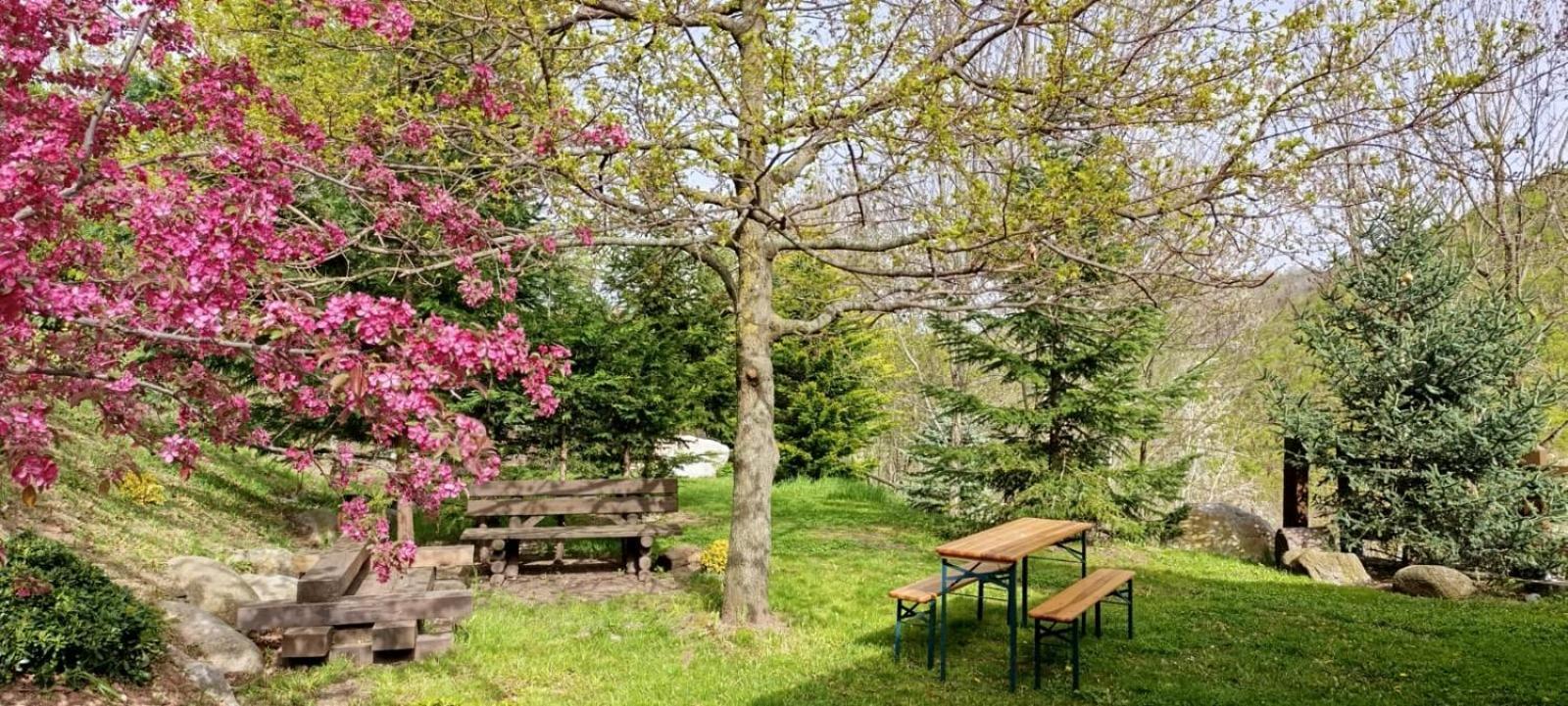 Villa Les Pedres à Camprodon Extérieur photo